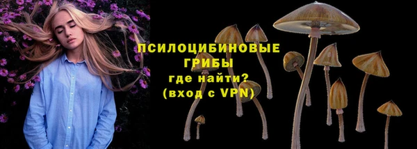 шишки Балабаново