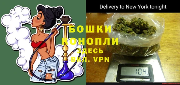 шишки Балабаново