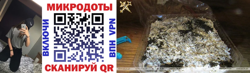Галлюциногенные грибы мицелий Суздаль